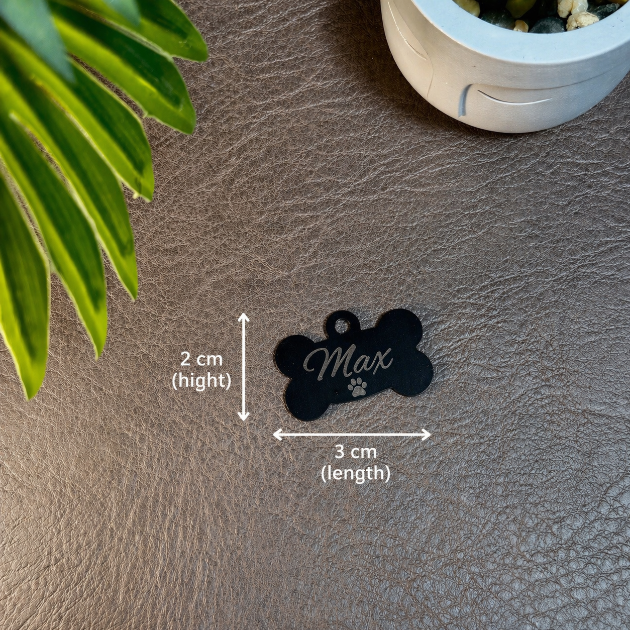 Custom Engraved Pet Tags with Name | Dog & Cat ID Tag