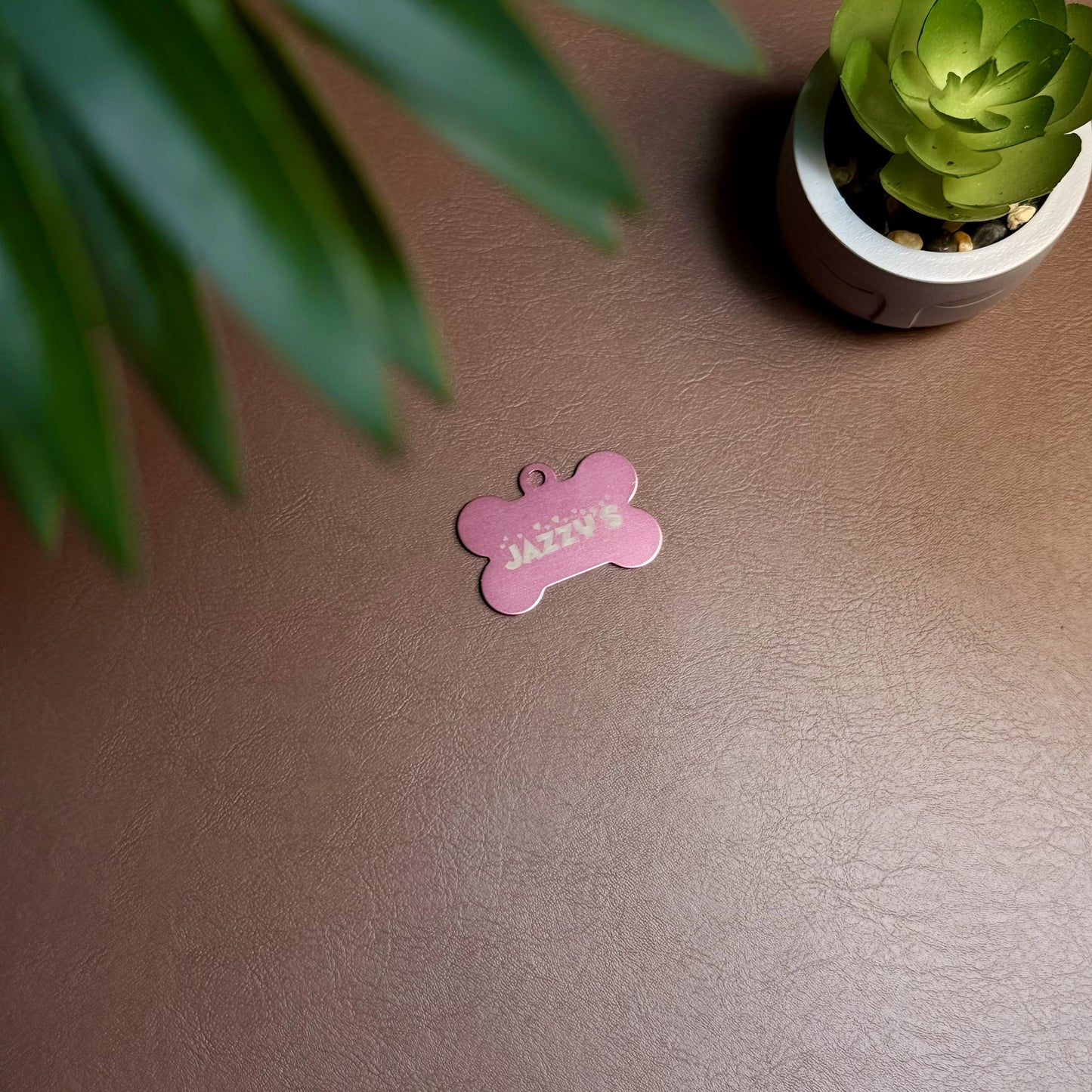 Custom Engraved Pet Tags with Name | Dog & Cat ID Tag